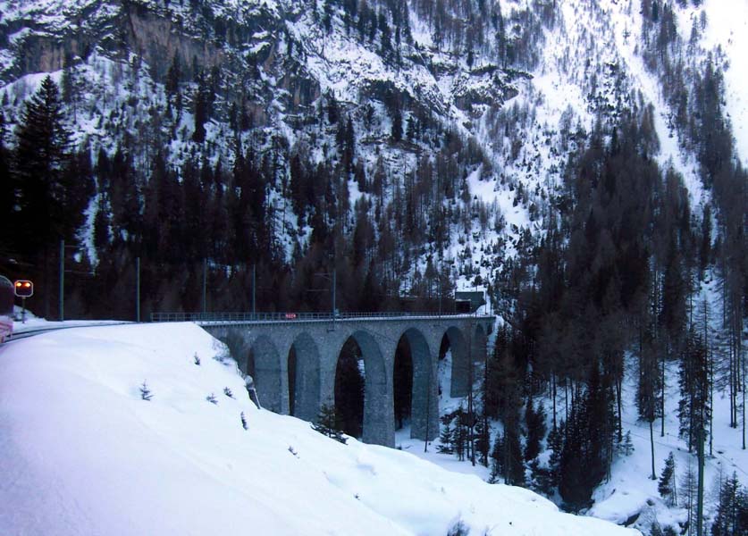 Albula