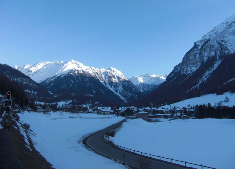 Albula