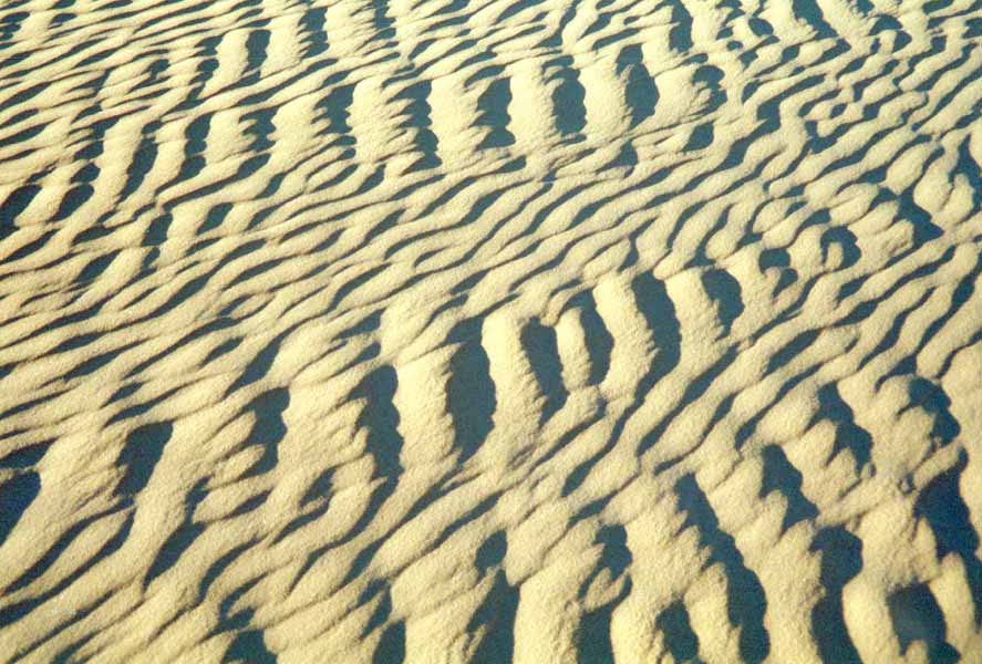 Sandwste Algerien