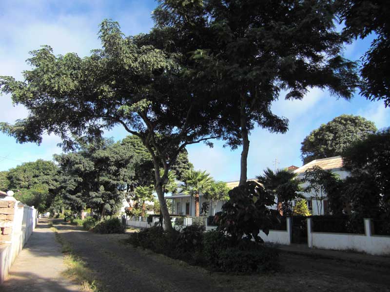 Nova Sintra