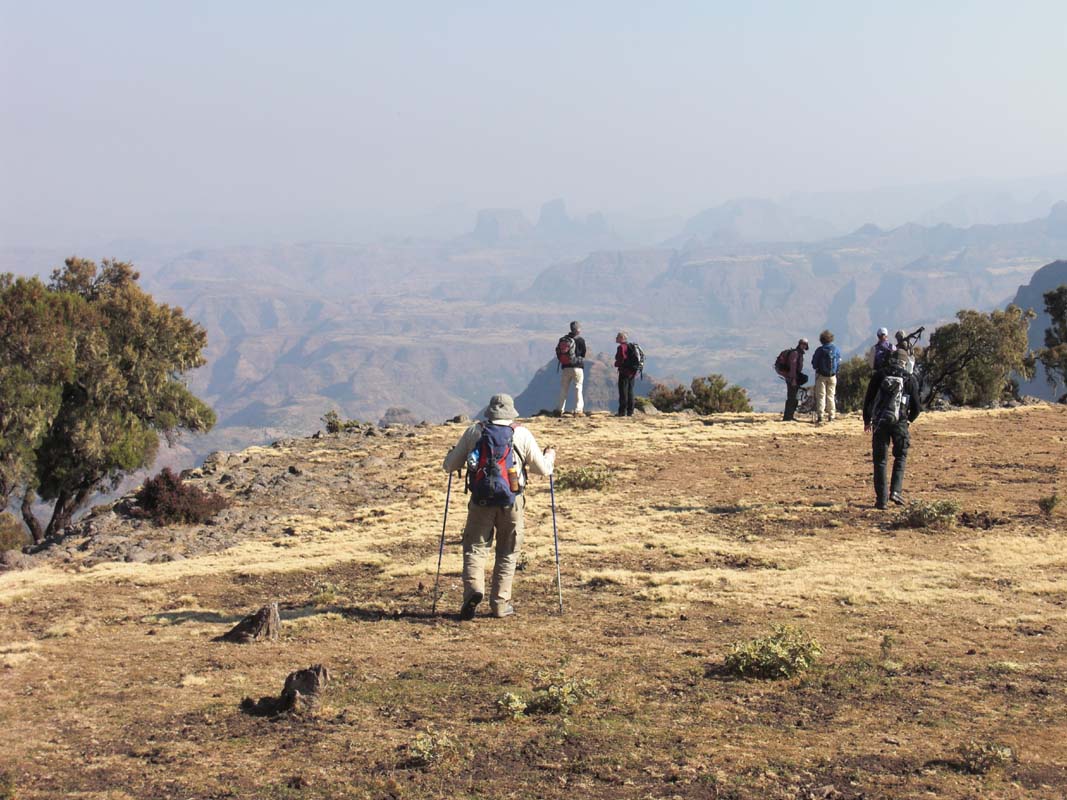 Simien