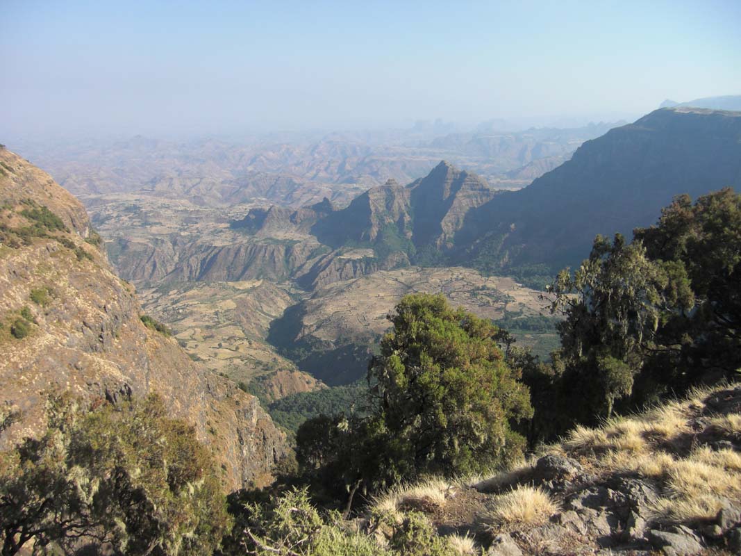 Simien