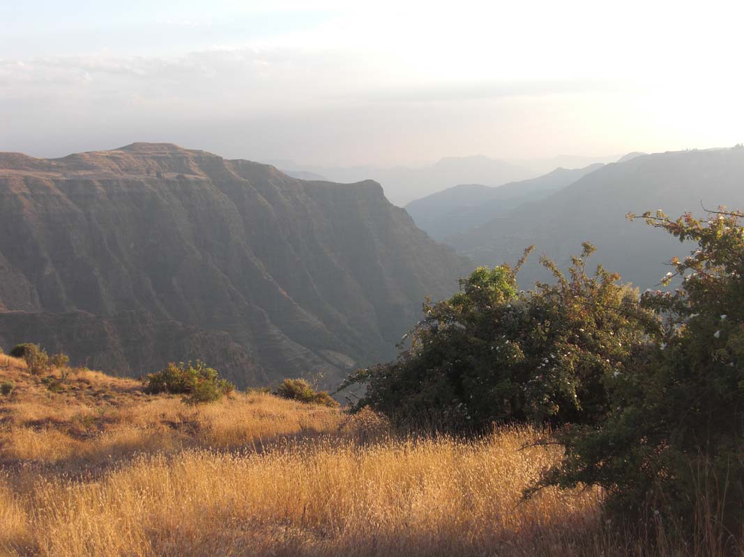 Simien