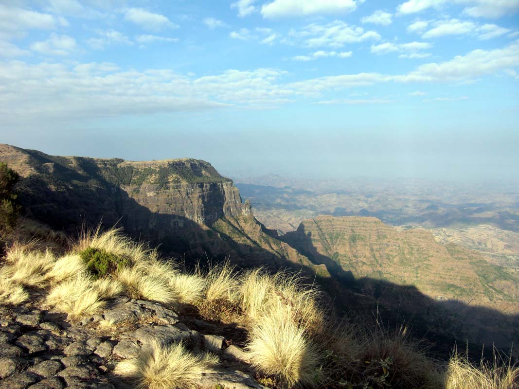 Simien