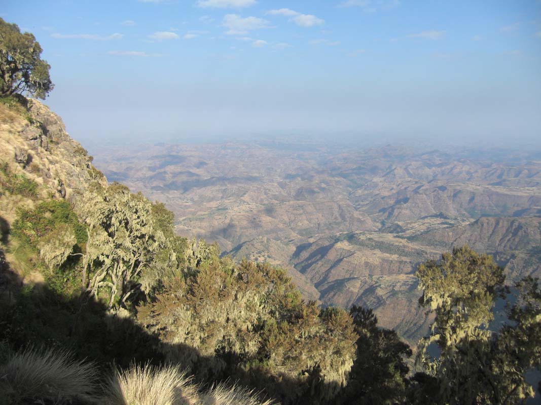 Simien