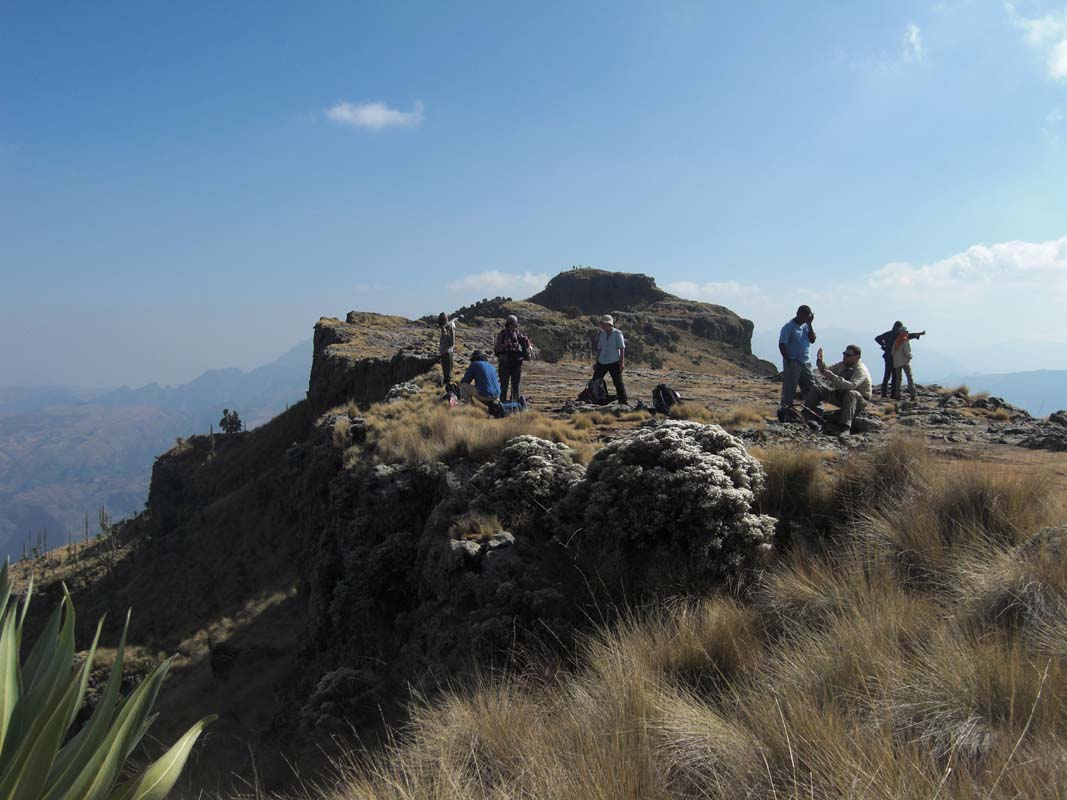 Simien