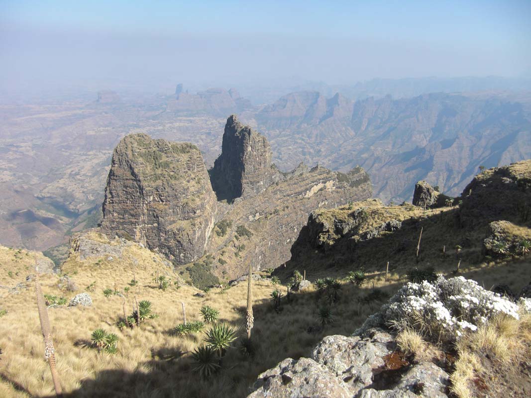 Simien