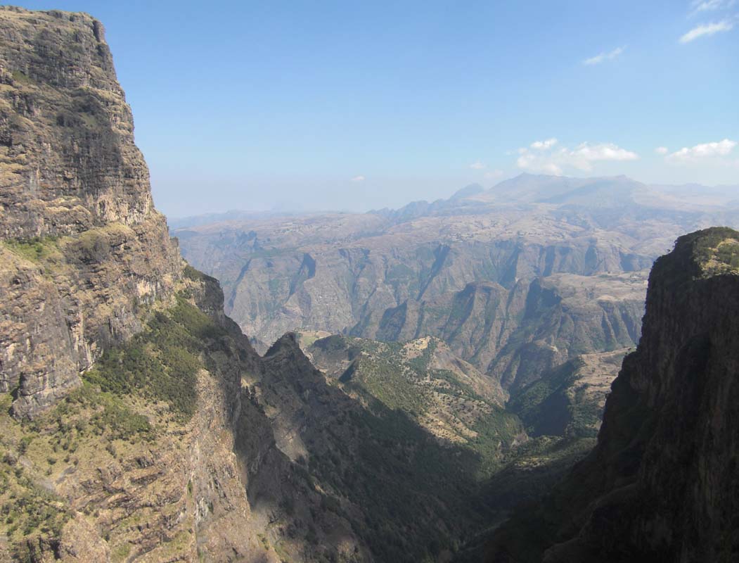 Simien