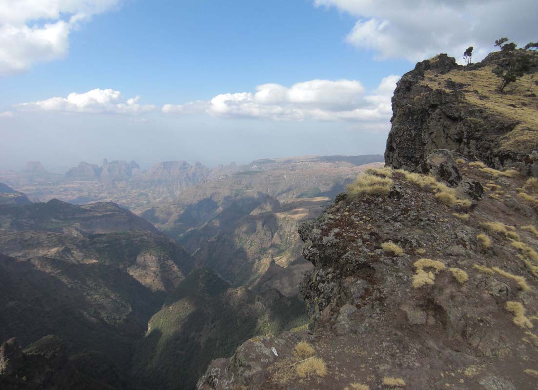 Simien