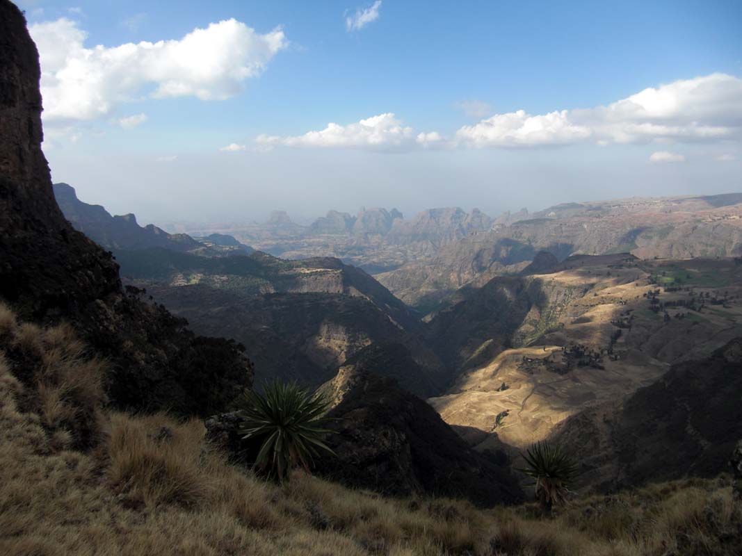 Simien