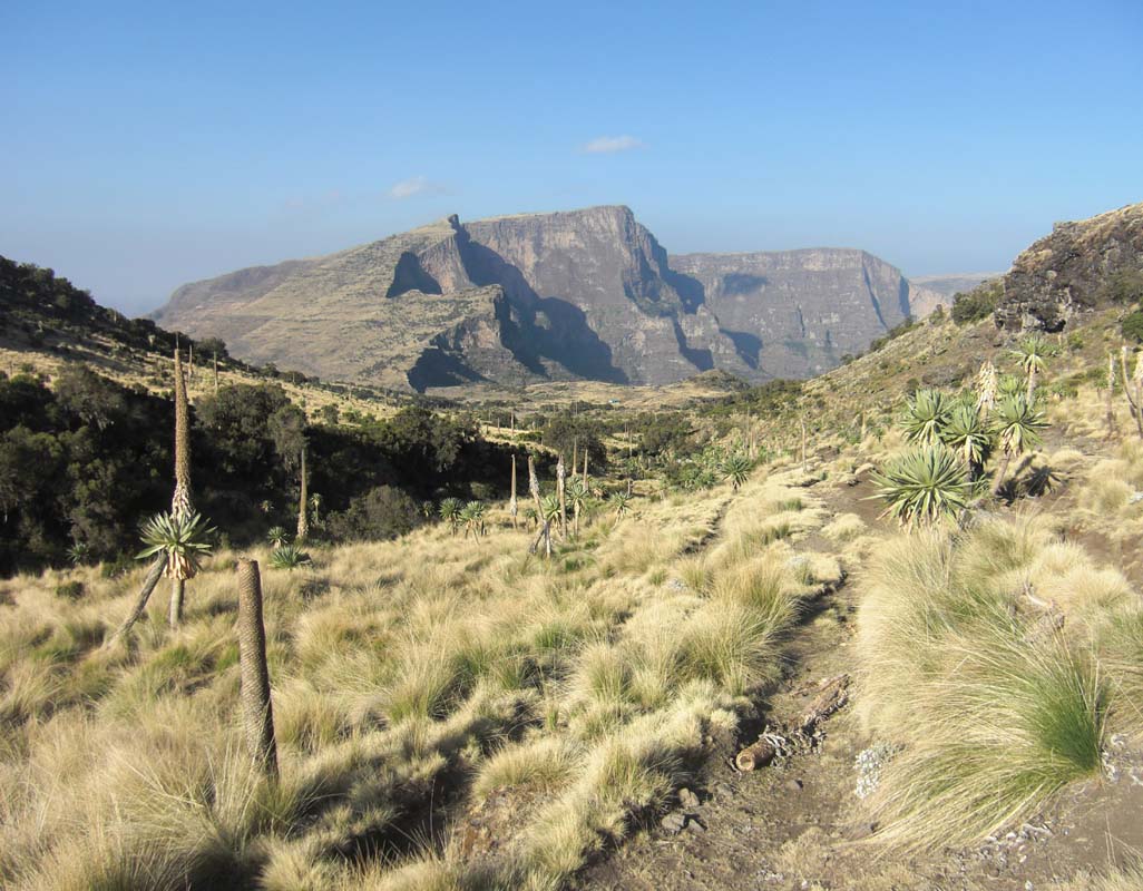 Simien