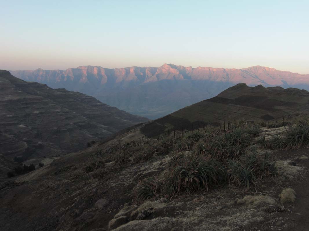 Simien