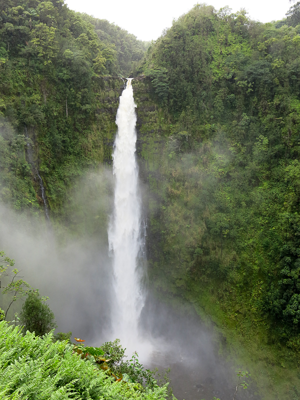 Akaka Falls Akaka Falls