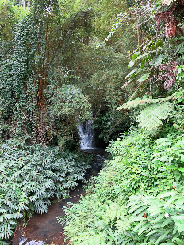 Akaka Falls Akaka Falls