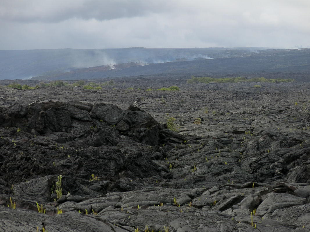 Kalapana Viewing Area