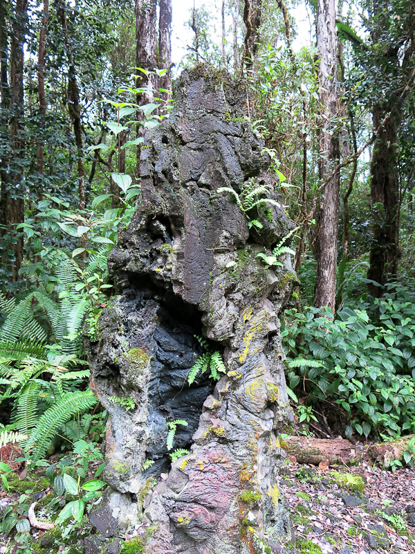 Lava Tree Park Lava Tree Park