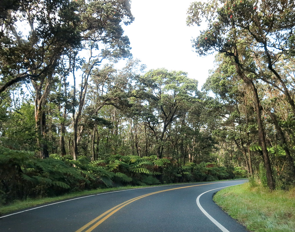 Chain of Crater Road Chain of Crater Road