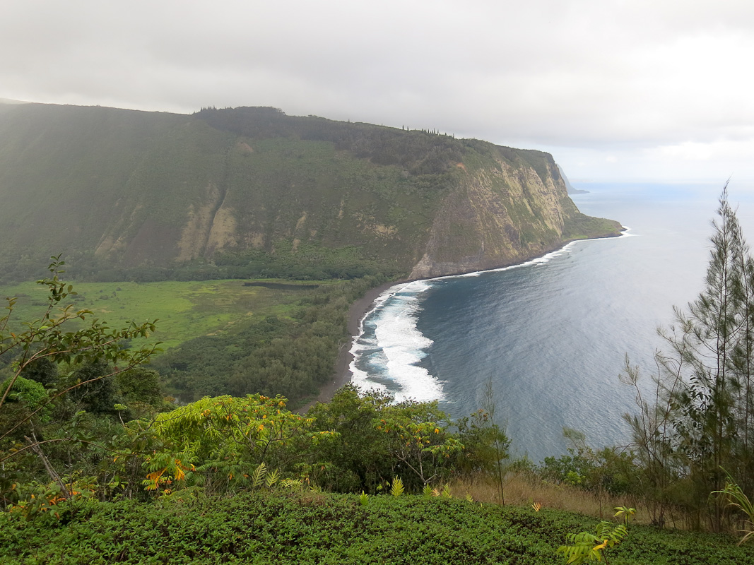 Waimea Outlook