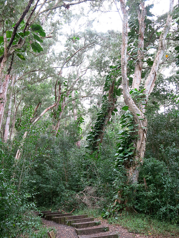 Road to Hana