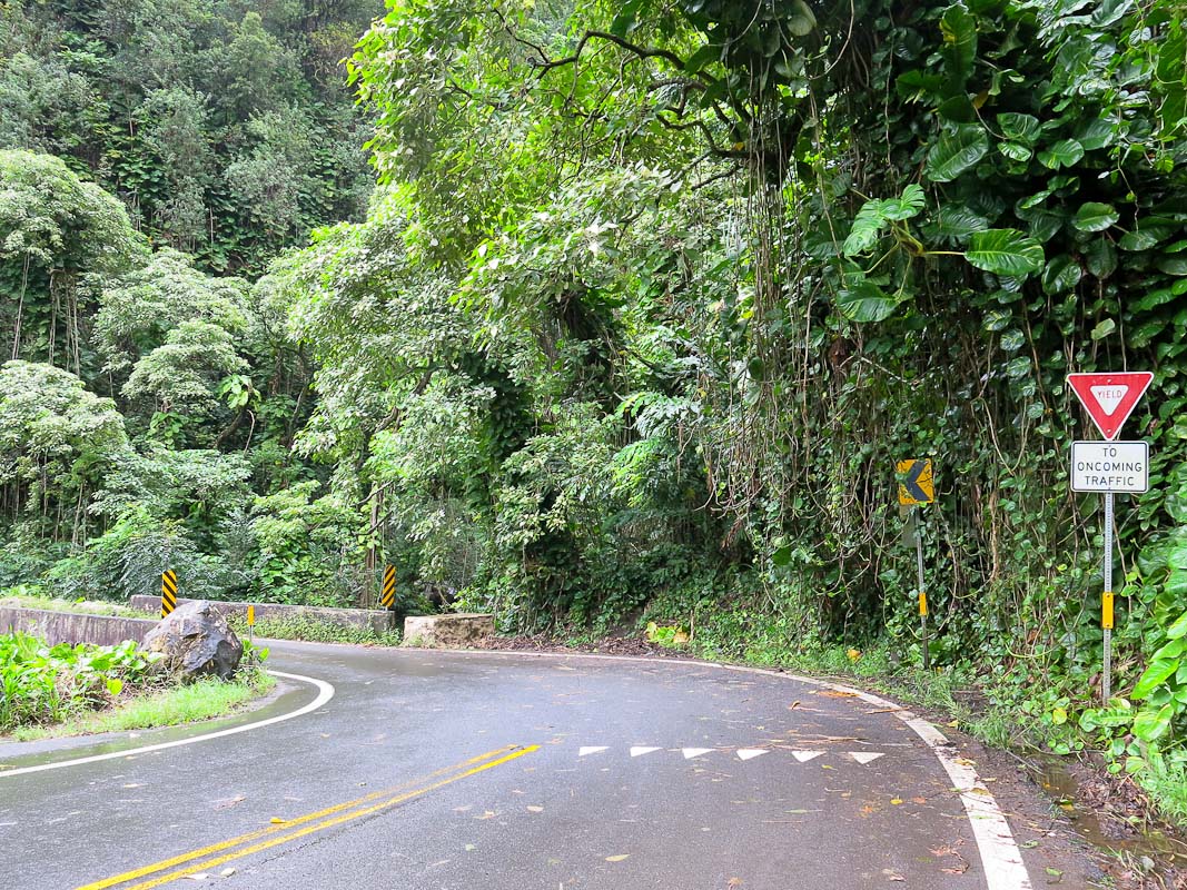 Road to Hana Road to Hana