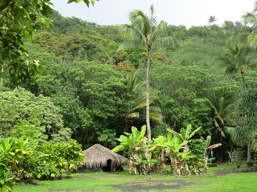 Hawaiianisches Dorf Hawaiianisches Dorf