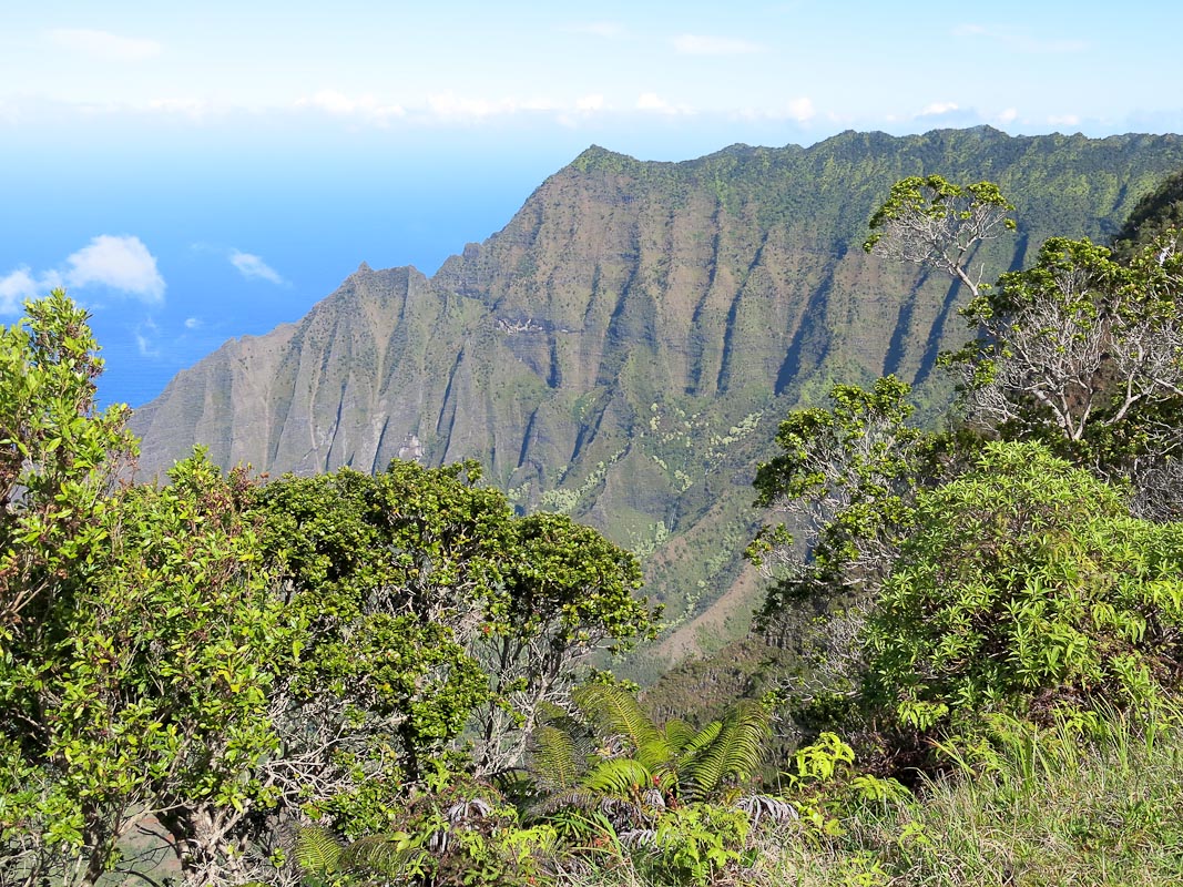 Kalalau Outlook