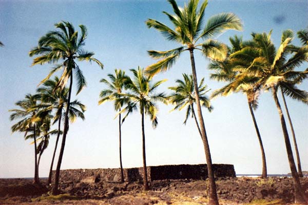 Puuhonua o Honaunau 