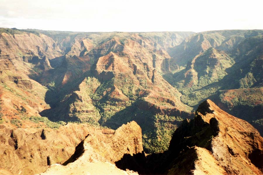 Waimea Overlook