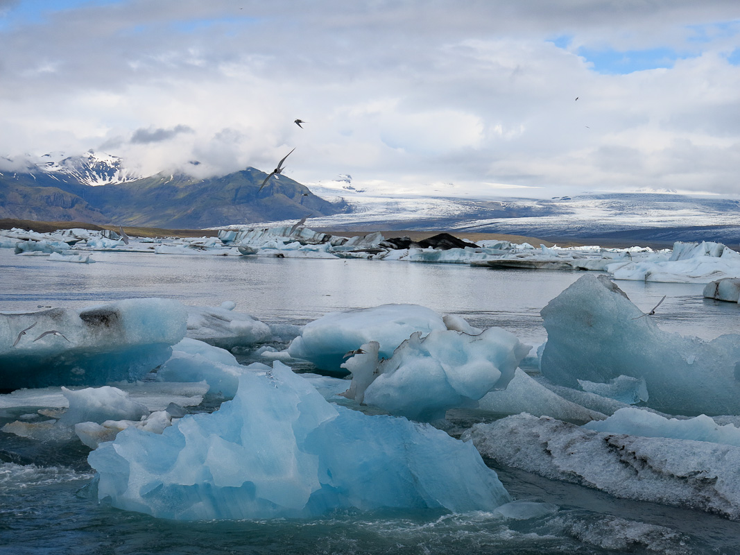 Jökulsarlon Jökulsarlon