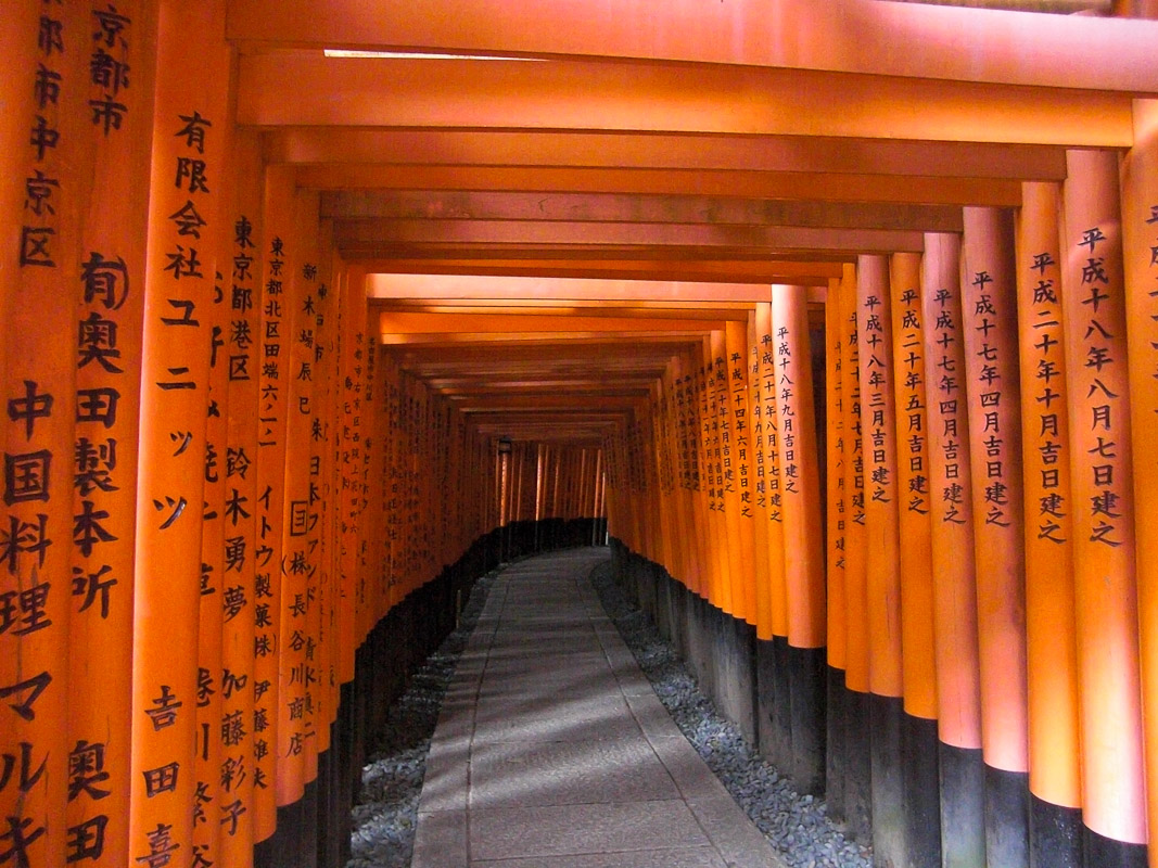 Toris im Fushima-Inari Schrein