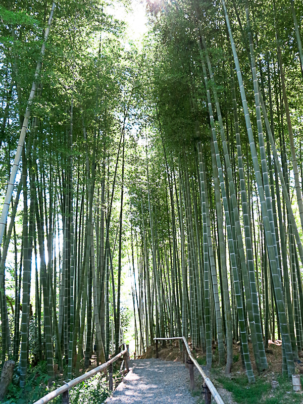 Kyoto Kodai-ji