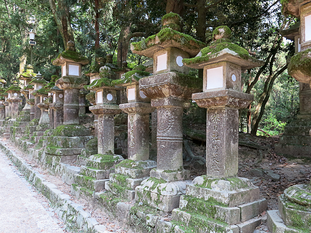 Nara Weg zum Kasuga-Taisha Schrein