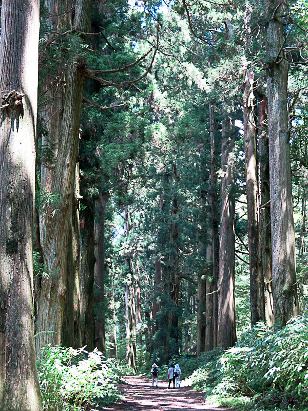 Hakone - Alter Tokaido