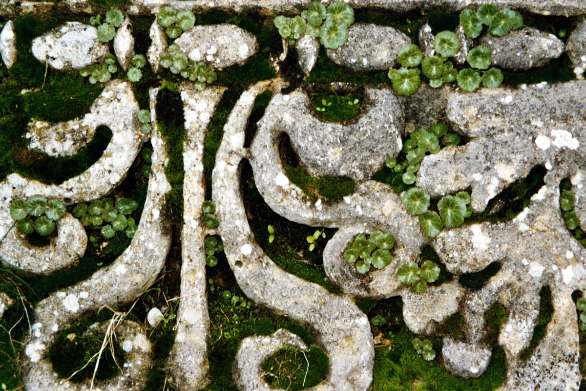 Detail aus Gerasa