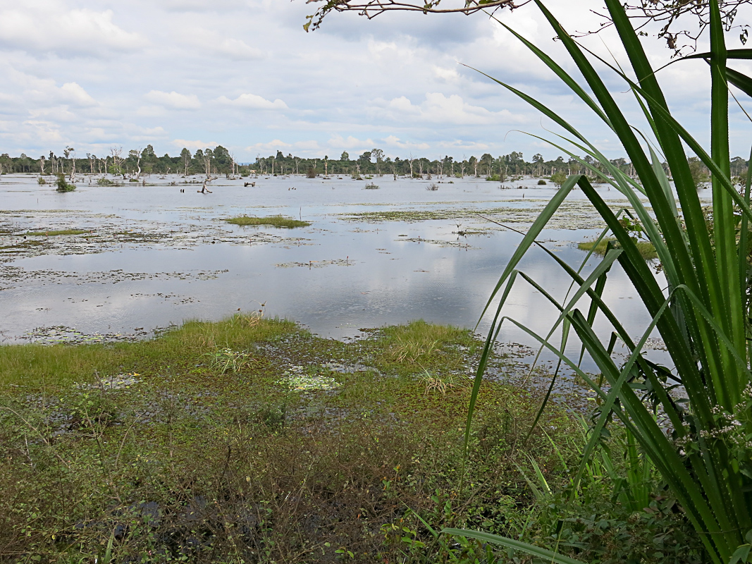 Angkor Wasserreservoir