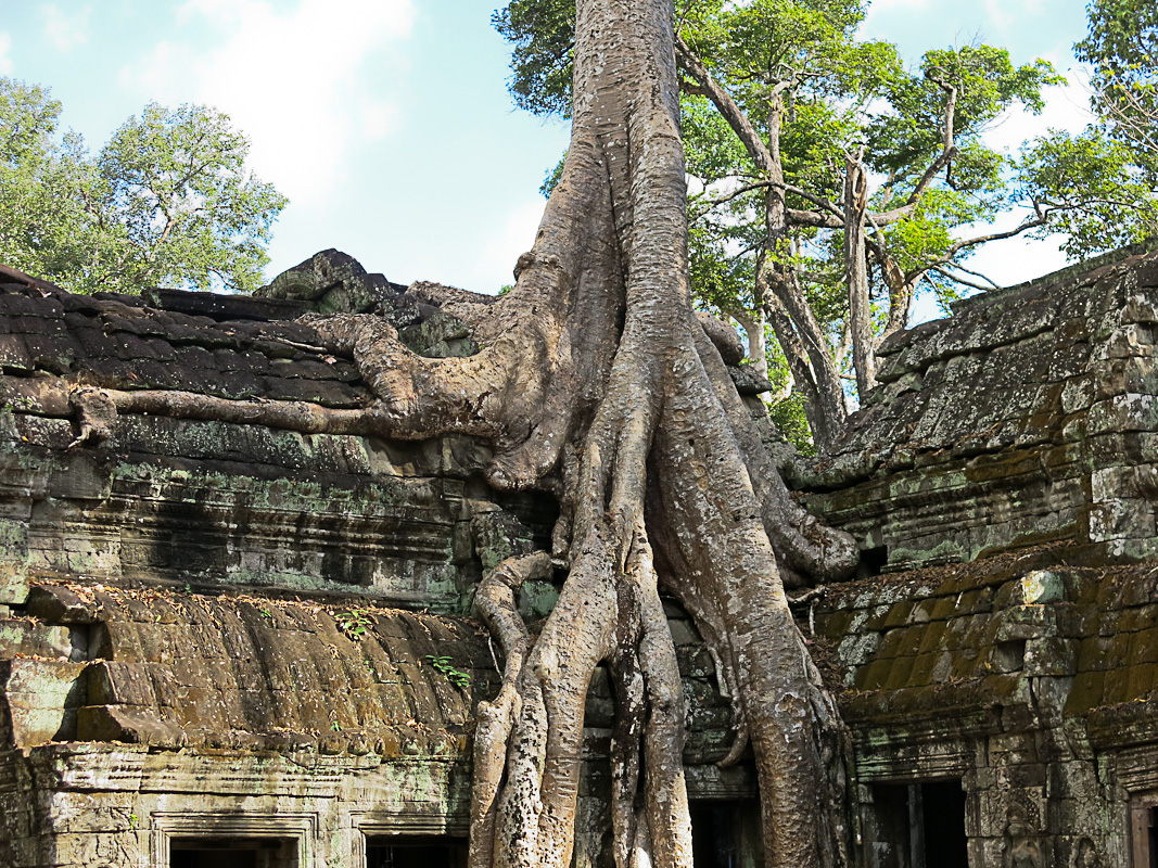 Ta Prohm