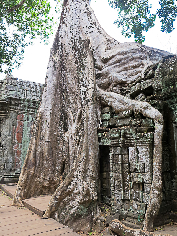 Ta Prohm