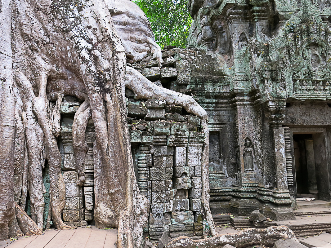 Ta Prohm