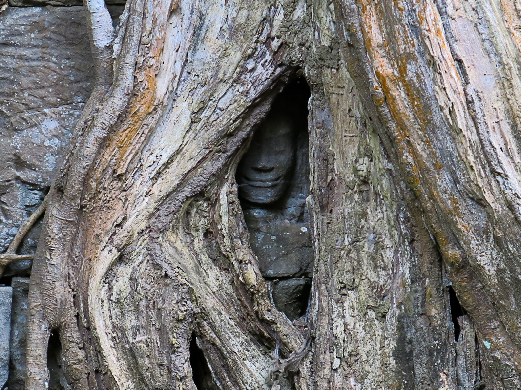 Ta Prohm