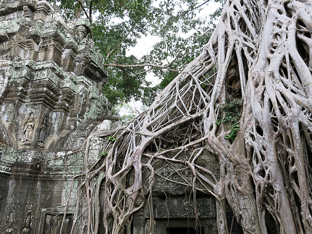 Ta Prohm