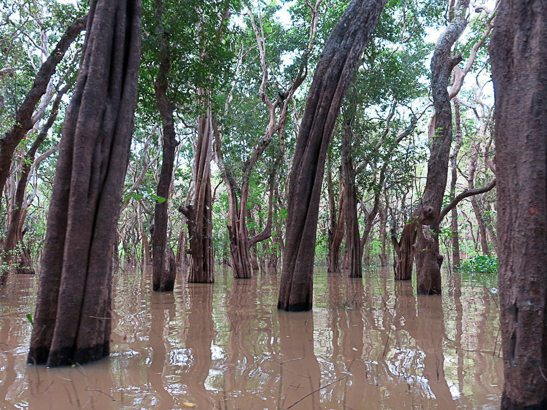 Wasserwelt Tonle Sap