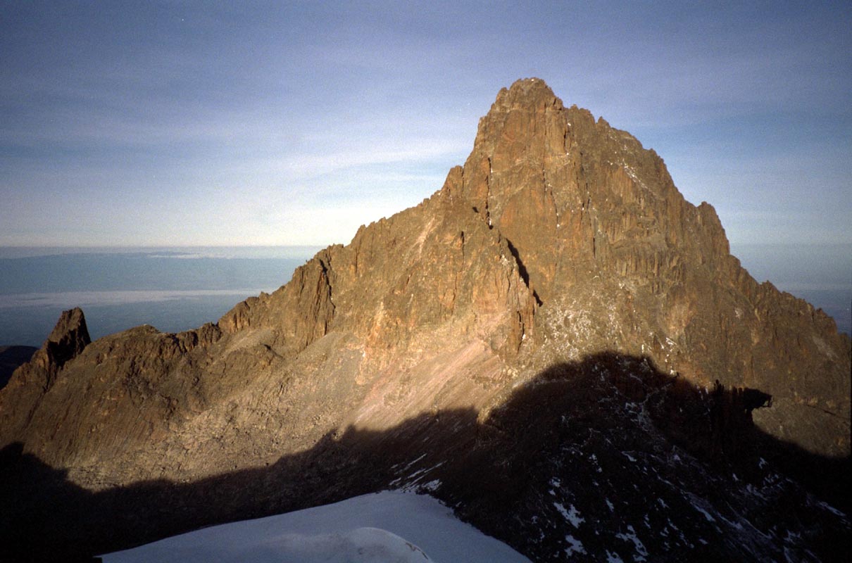 Senecien vor Mt. Kenya