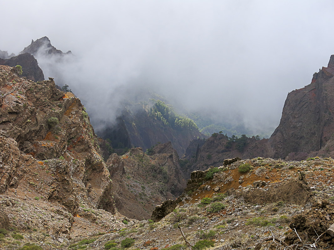 Roque de los Muchachos