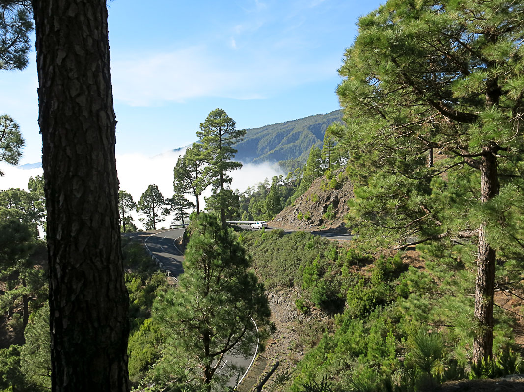 Pico de la Nieve