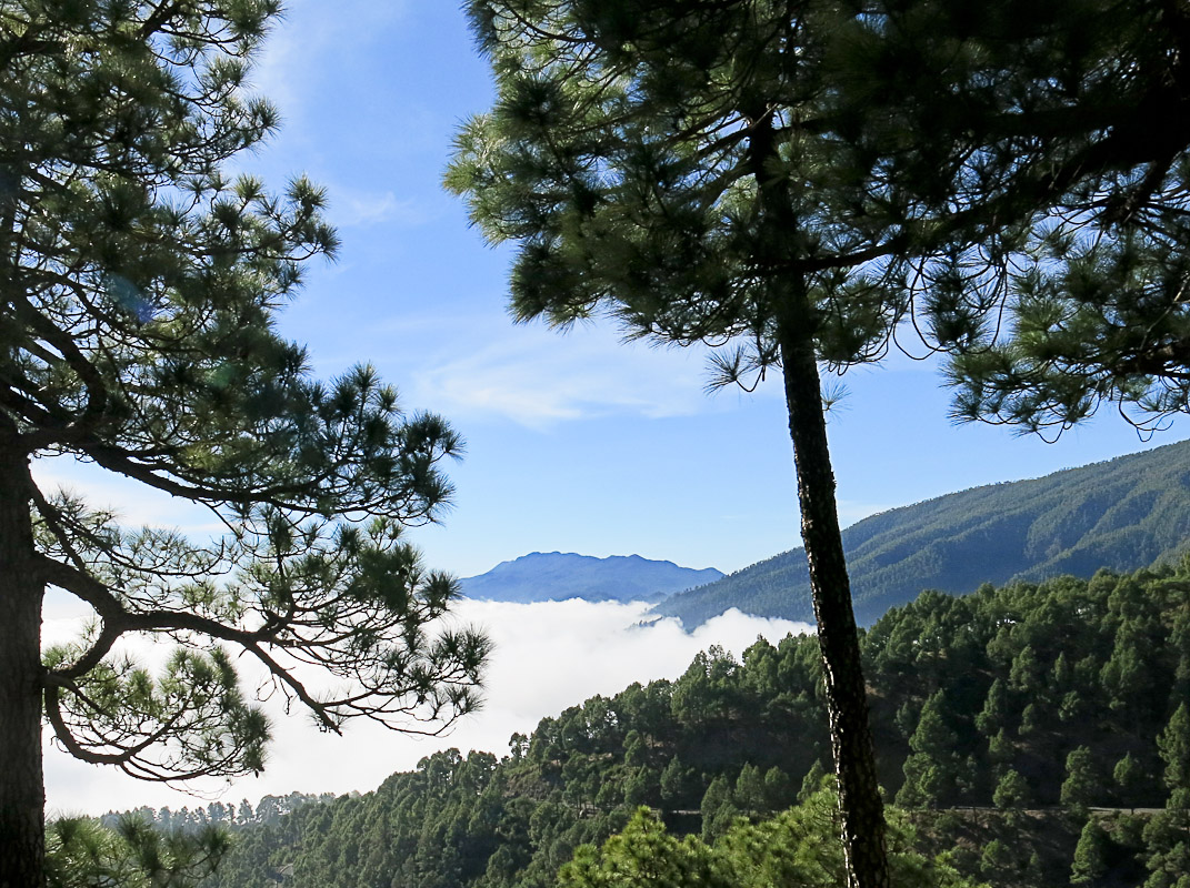 Pico de la Nieve