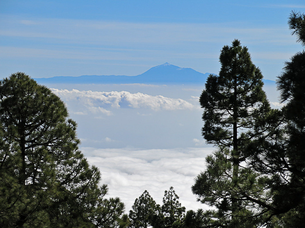 Pico de la Nieve Pico de la Nieve