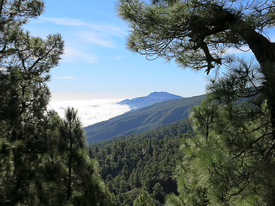 Pico de la Nieve Pico de la Nieve