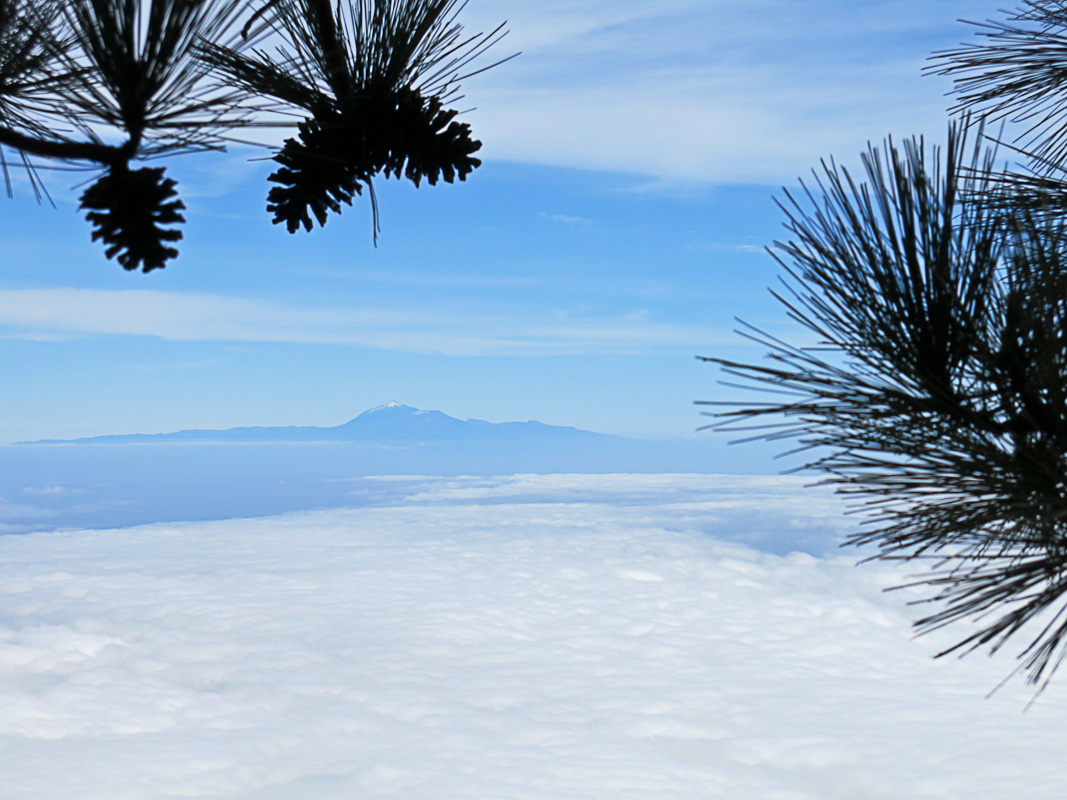 Pico de la Nieve