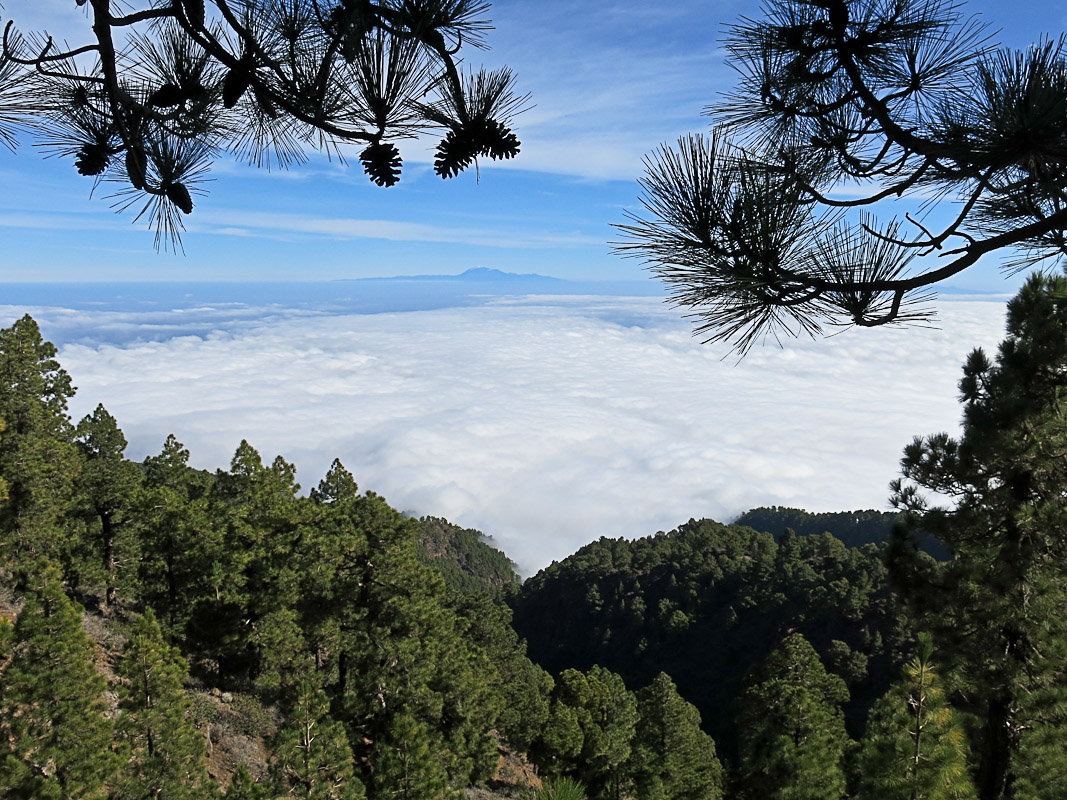 Pico de la Nieve