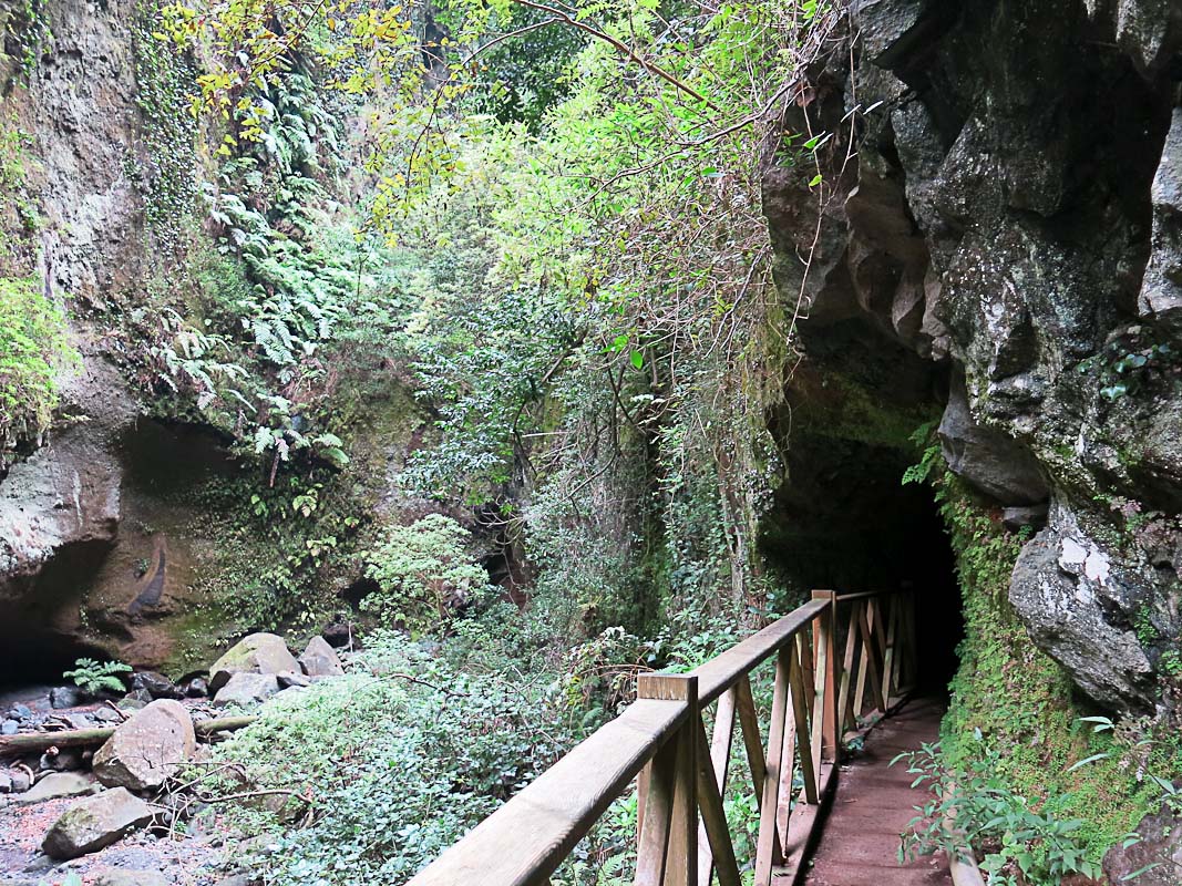 Los Tilos Los Tilos